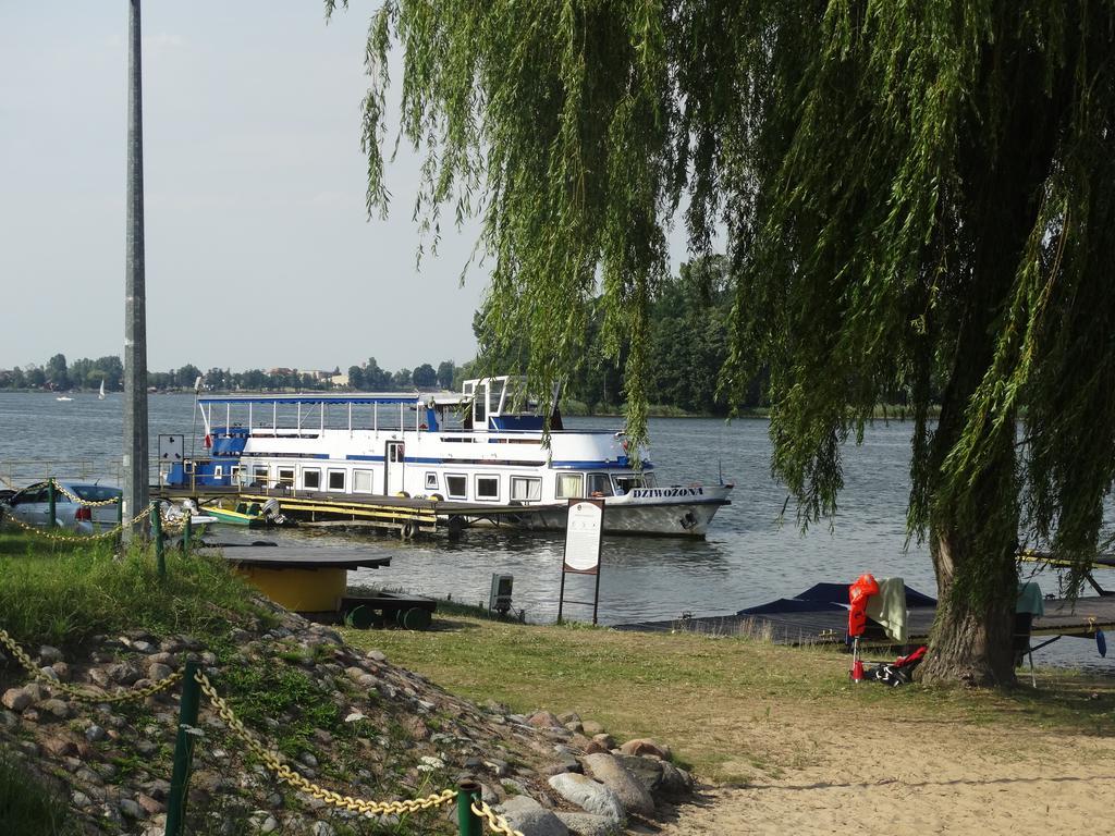Hotel Wityng Ślesin Exteriör bild